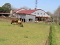 <span class="title">【L’AVENUE bis・兵庫県産食材】共進牧場へ!!</span>